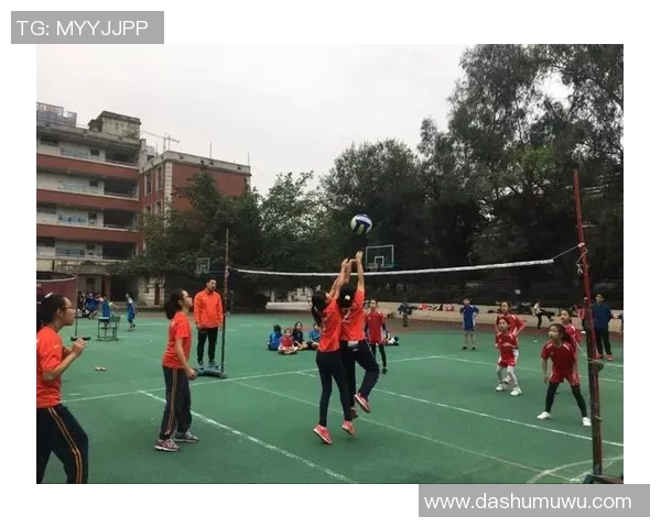 成都排球队心理素质排名第七揭秘排球心理素质排行榜的背后故事