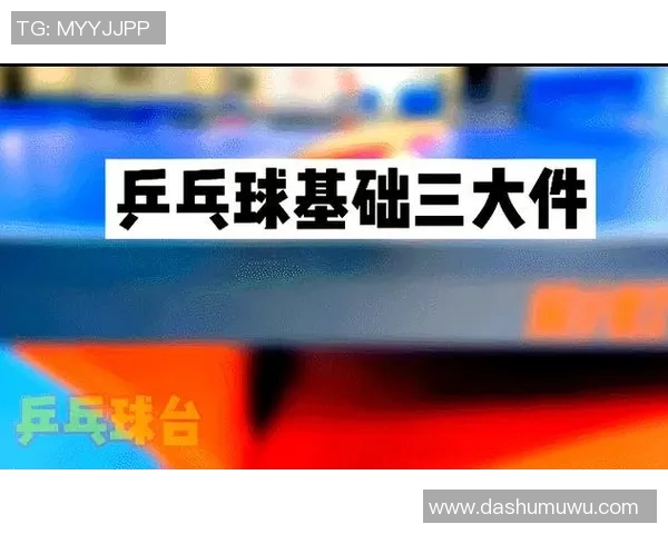 乒乓球新手必看灵活性训练技巧与实用入门指南 乒乓球新手必看灵活性训练技巧与实用入门指南