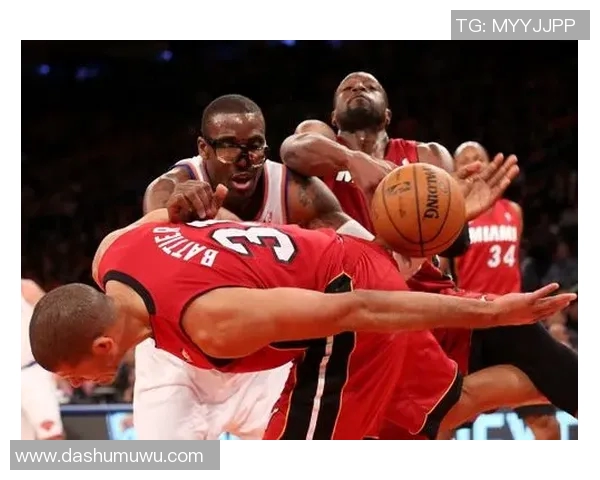 2013年尼克斯与热火的激烈对决回顾及赛季精彩瞬间分析