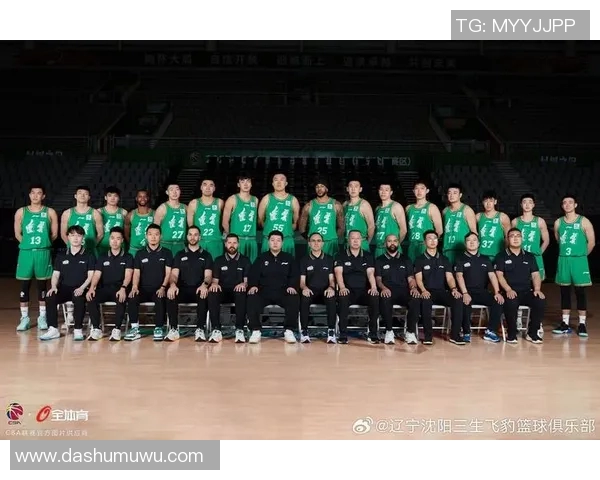 2017年辽宁队与苏宁队的精彩对决回顾与分析